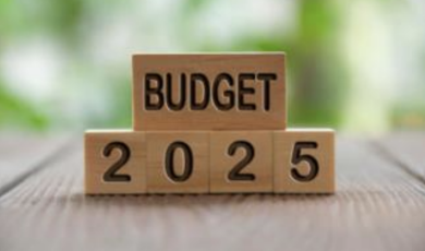 Budget 2025 : la Fédésap défend le crédit d’impôt « services à la personne »