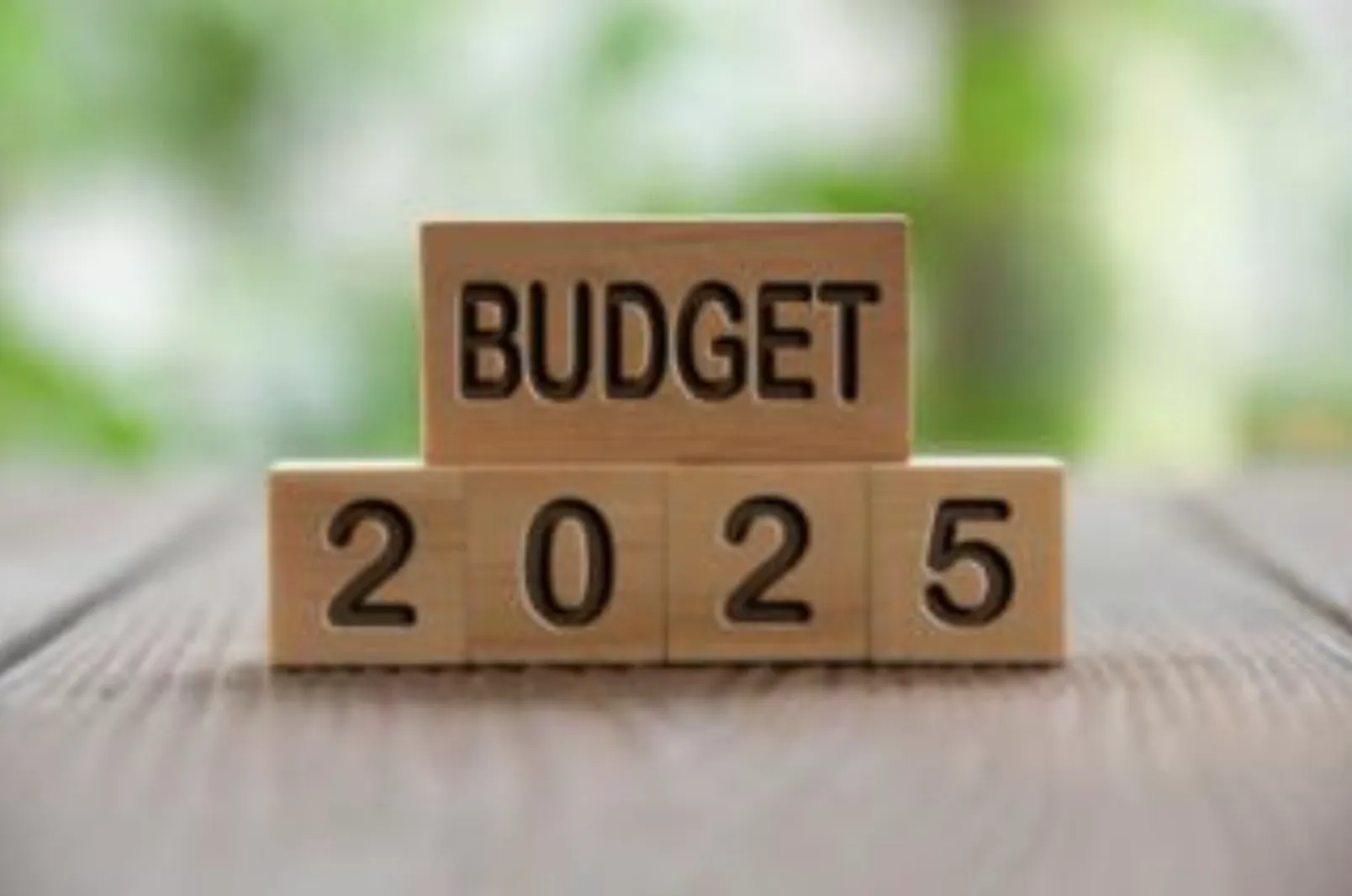 Budget 2025 : la Fédésap défend le crédit d’impôt « services à la personne »
