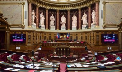 PPL Bien Vieillir : la révolution domiciliaire attendra