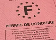 Flash Info : La prise en charge du permis de conduire de vos salariés, désormais possible avec le CPF !