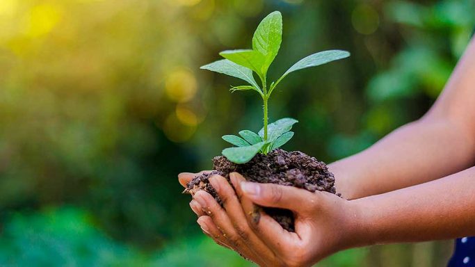 csm_SAS-ESPACES-VERTS_f6c1fa1579